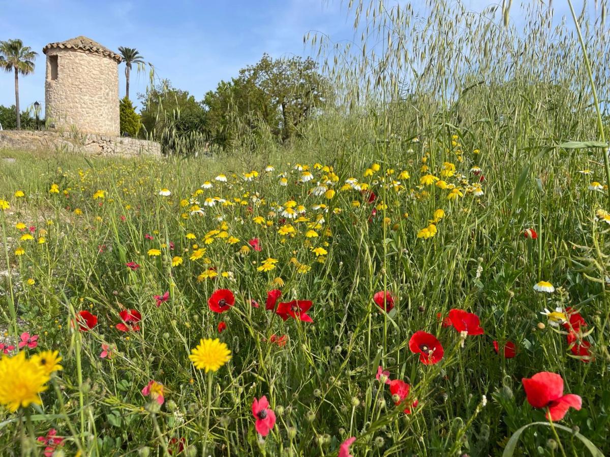 Finca Son Manera Montuiri  Eksteriør bilde